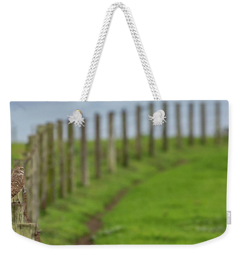 Owl Weekender Tote Bag featuring the photograph Row View by Kevin Dietrich
