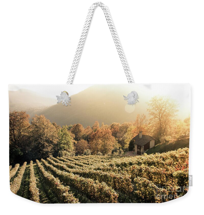 Autumn Weekender Tote Bag featuring the photograph Rows of vine in a vineyard in ticino, switzerland at sunset by Amanda Mohler