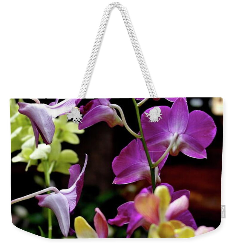 Orchids Weekender Tote Bag featuring the photograph Royal Hawaiian Orchids by Michele Myers