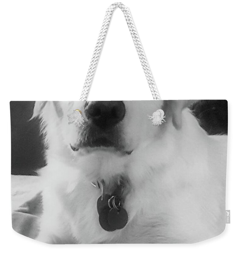 Dog Weekender Tote Bag featuring the photograph Ruby by Bruce Carpenter