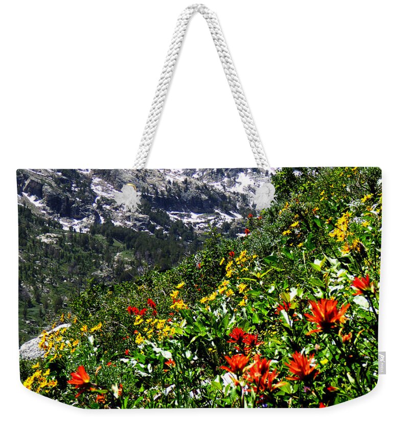 Island Lake Weekender Tote Bag featuring the photograph Ruby Mountain Wildflowers - Vertical by Alan Socolik