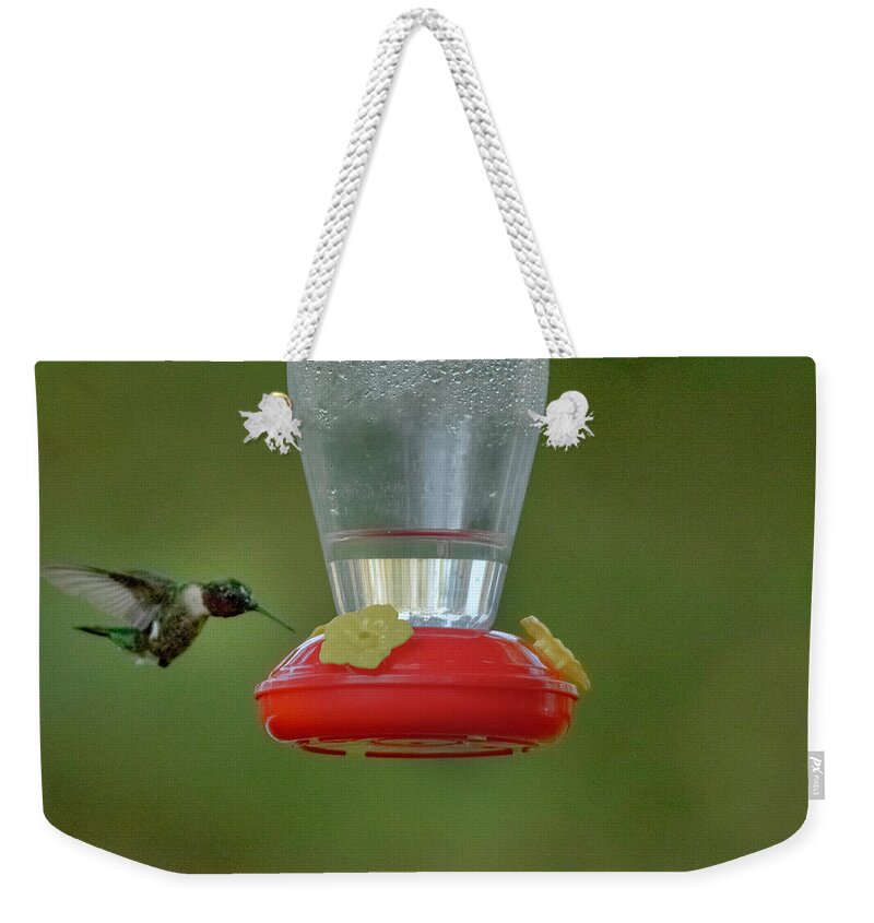Hummingbird Weekender Tote Bag featuring the photograph Ruby Throat by Judy Hall-Folde