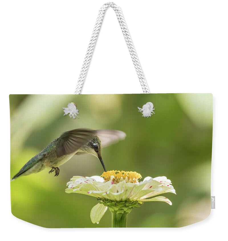 Ruby Throated Hummingbird Weekender Tote Bag featuring the photograph Ruby Throated Hummingbird 2016-8 by Thomas Young