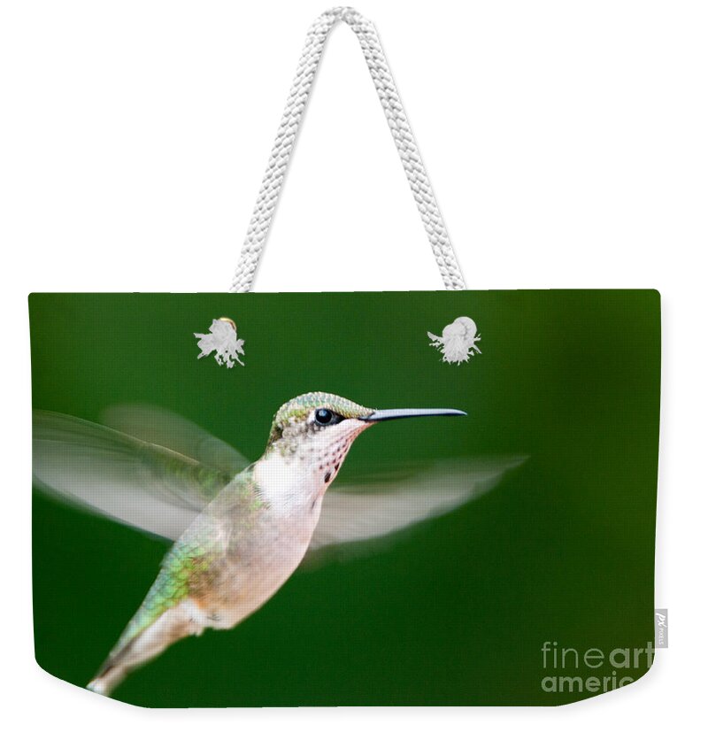 Bird Weekender Tote Bag featuring the photograph Ruby Throated Hummingbird by John Harmon