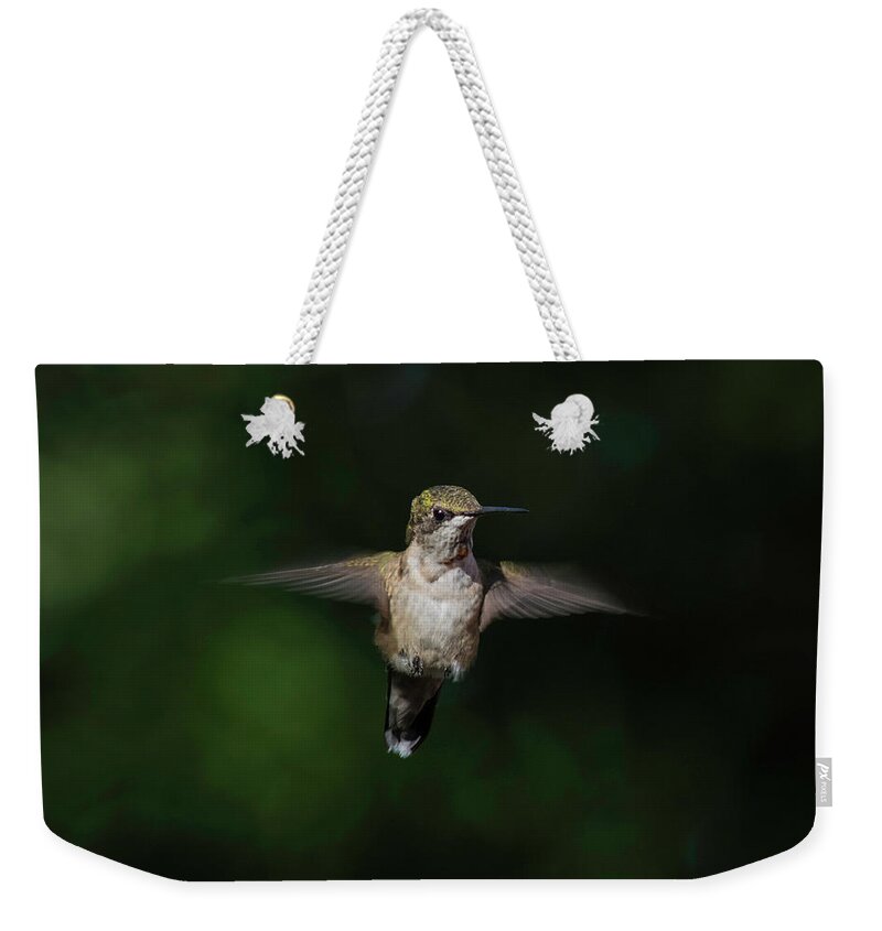 Ruby Throated Hummingbird Weekender Tote Bag featuring the photograph Ruby Throated Hummingbird by Kenneth Cole