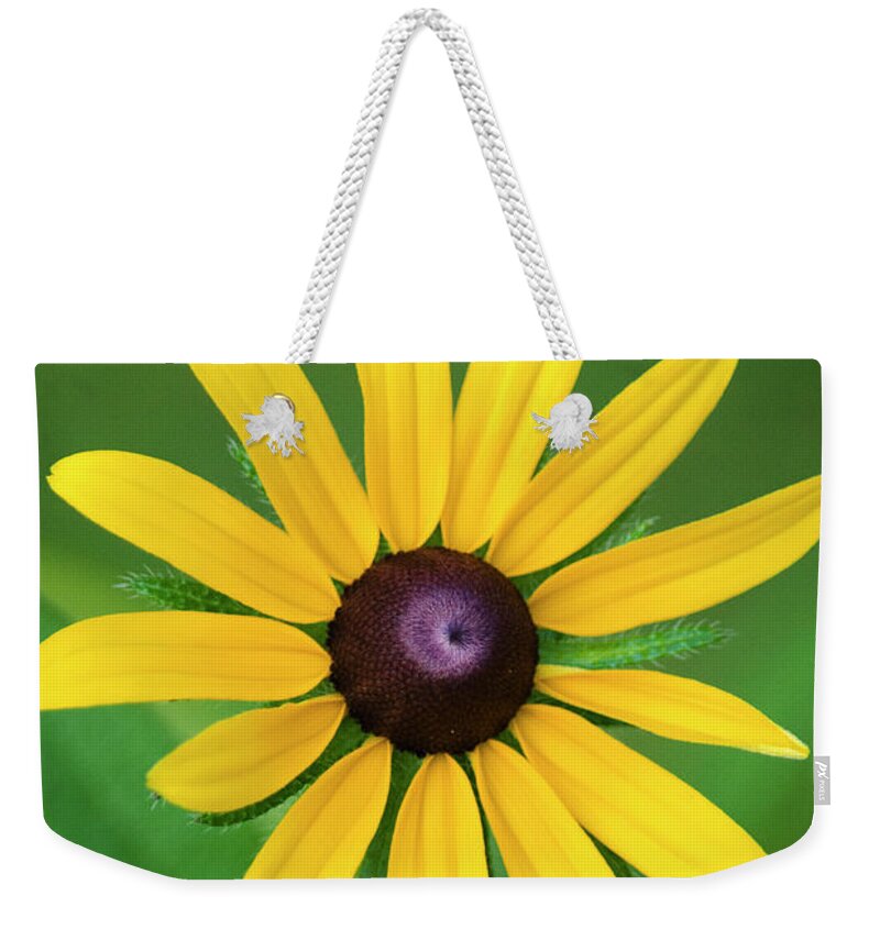Rudbeckia Weekender Tote Bag featuring the photograph Rudbeckia Flower by Christina Rollo