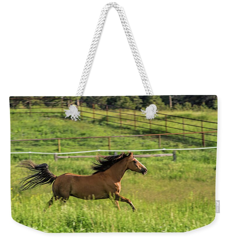 Equine Weekender Tote Bag featuring the photograph Run Romeo by Alana Thrower