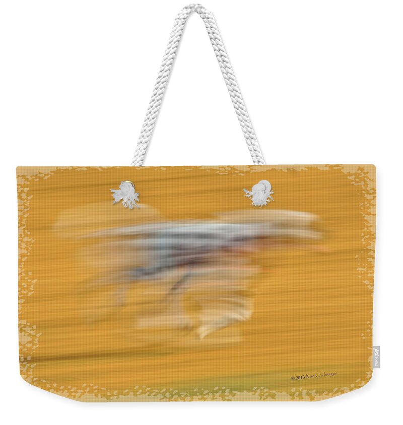 Dog Weekender Tote Bag featuring the photograph Running at the Dog Park #2 by Kae Cheatham