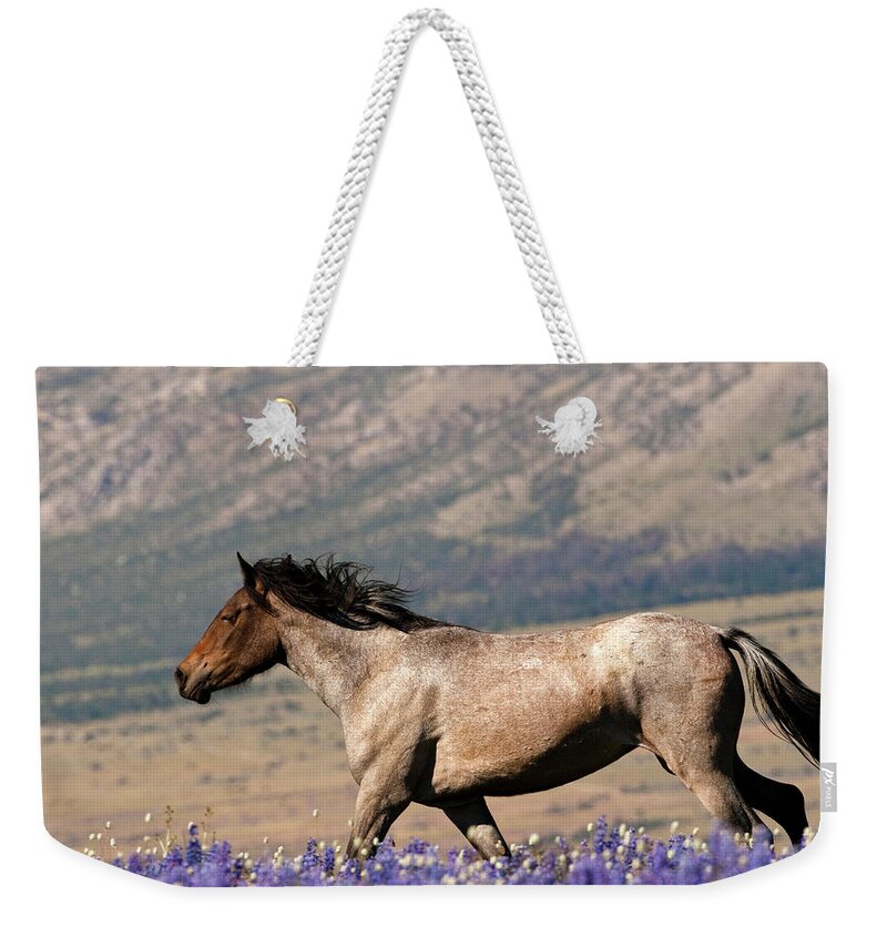 Wild Horse Free Range Montana Weekender Tote Bag featuring the photograph Running Wild- Wild Stallion by Mark Miller