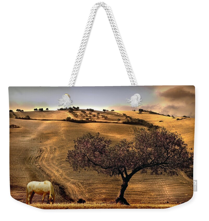 Landscape Weekender Tote Bag featuring the photograph Rural Spain View by Mal Bray
