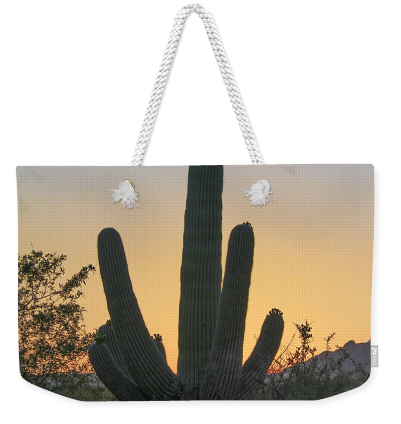 Sabino Canyon Cactus Sunset Weekender Tote Bag featuring the photograph Sabino Canyon Cactus Sunset by Jemmy Archer