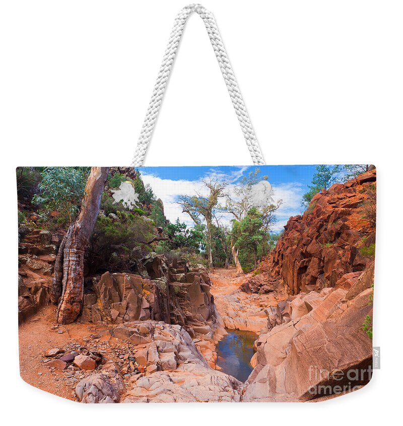 Sacred Canyon Flinders Ranges South Australia Australian Landscape Landscapes Outback Gum Trees Tree Water Erosion Weekender Tote Bag featuring the photograph Sacred Canyon by Bill Robinson