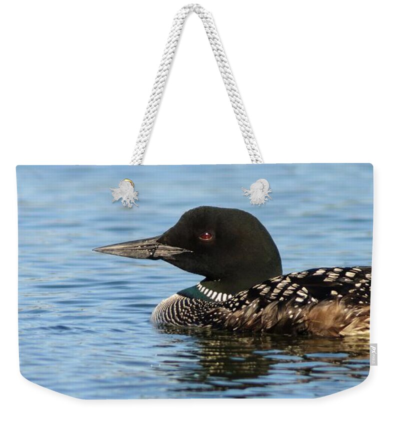  Weekender Tote Bag featuring the photograph Safe by Sherry Clark