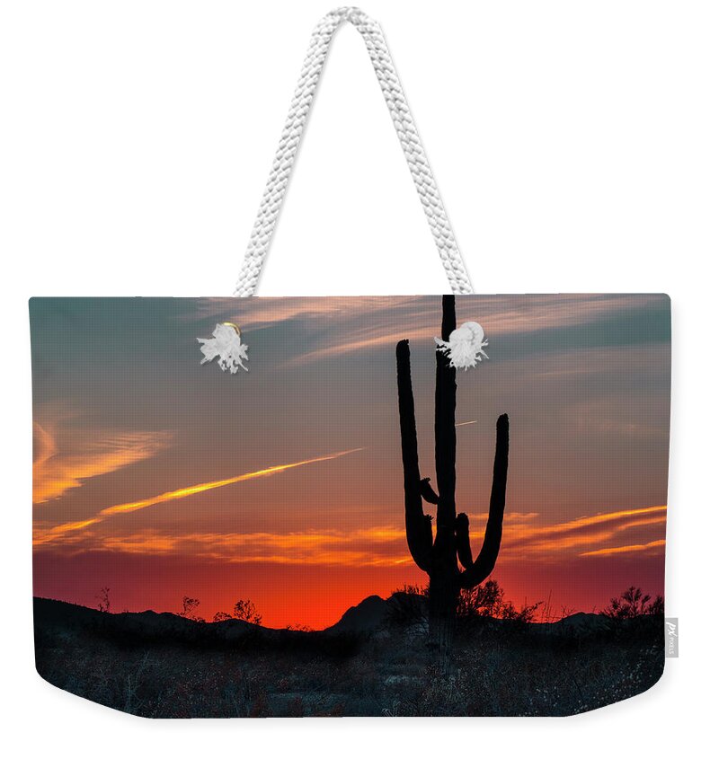 Pennysprints Weekender Tote Bag featuring the photograph Sagauro Sunset by Penny Lisowski