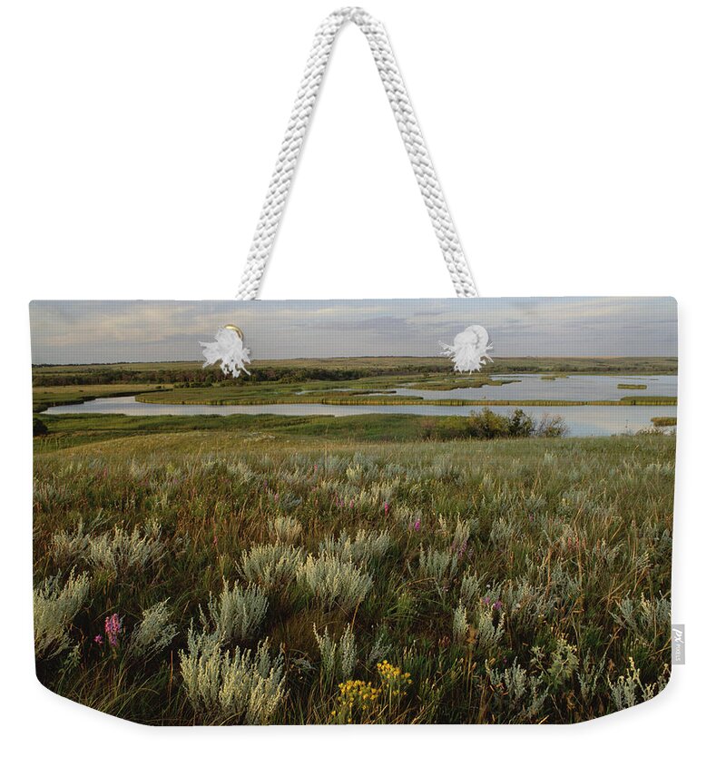 Mp Weekender Tote Bag featuring the photograph Sage Prairie And Marsh In Upper Souris by Gerry Ellis
