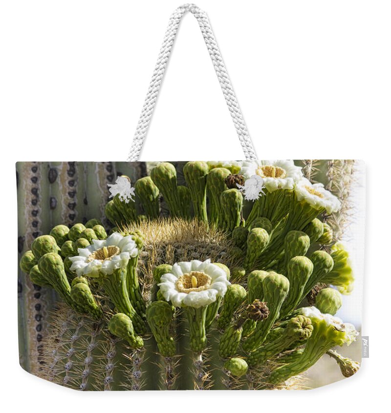 Arizona Weekender Tote Bag featuring the photograph Saguaro Cactus Bloom by James BO Insogna