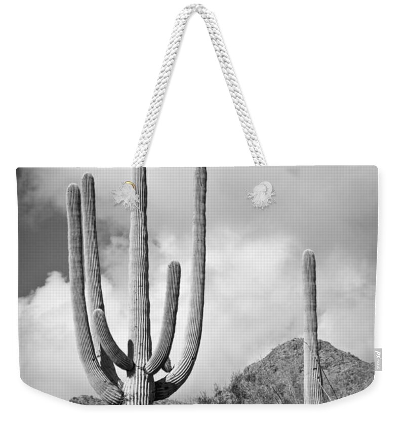 Saguaro Weekender Tote Bag featuring the photograph Saguaro by Olivier Steiner