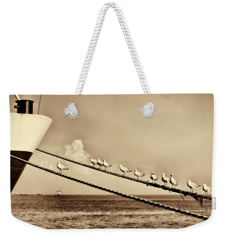 Seagulls Weekender Tote Bag featuring the photograph Sailors V2 by Douglas Barnard