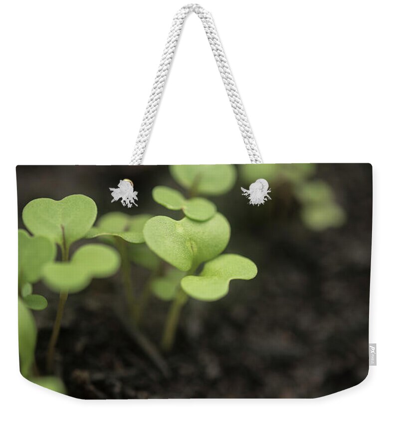 Salad Weekender Tote Bag featuring the photograph Salad Leaves 003 by Clayton Bastiani