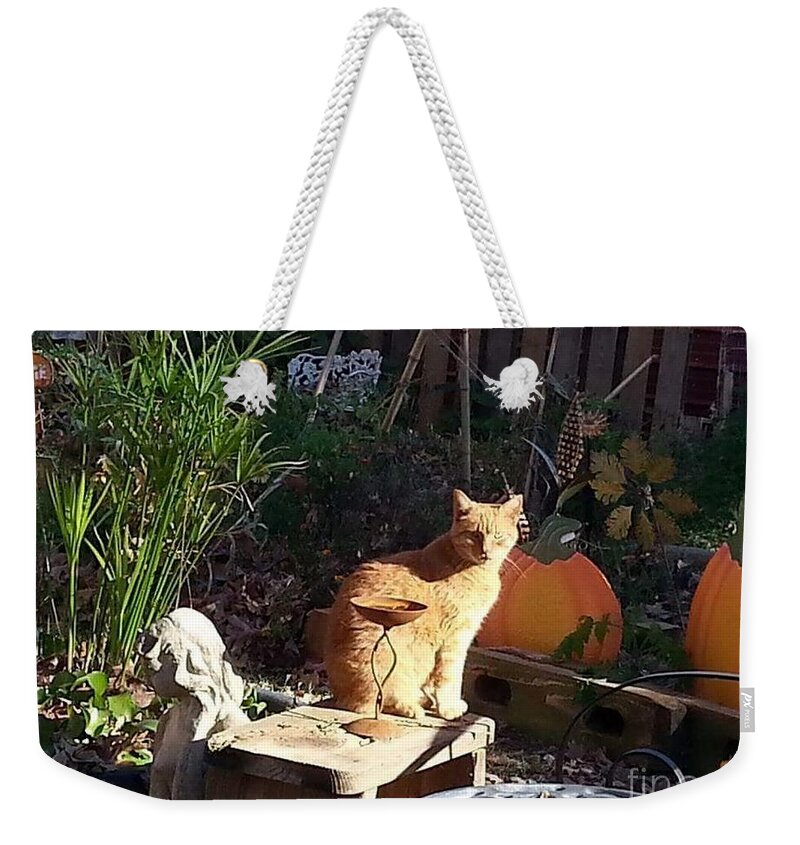 Cat Weekender Tote Bag featuring the photograph Salem in the Garden by Rabiah Seminole