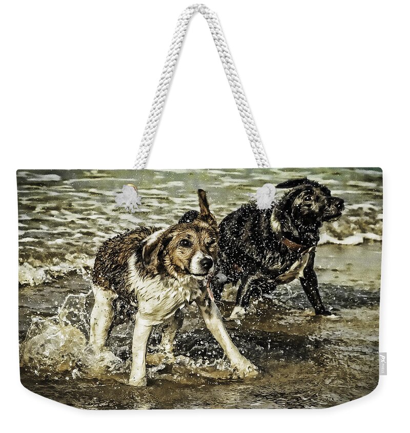 Dog Weekender Tote Bag featuring the photograph Salt and Shake by Nick Bywater