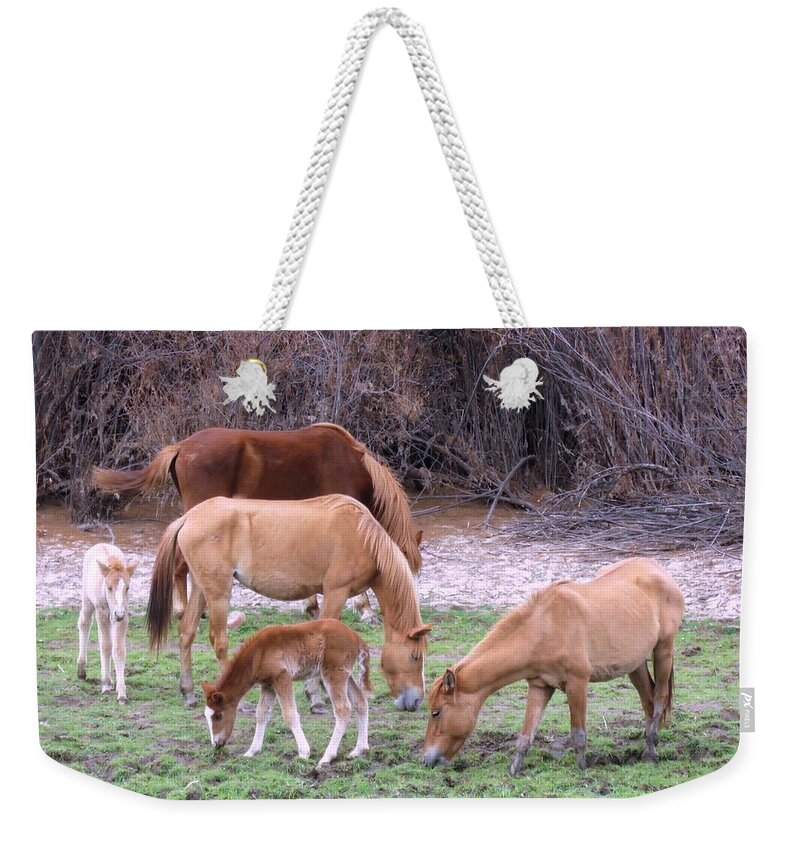 Arizona Weekender Tote Bag featuring the photograph Salt River Wild Horses in Winter by Judy Kennedy