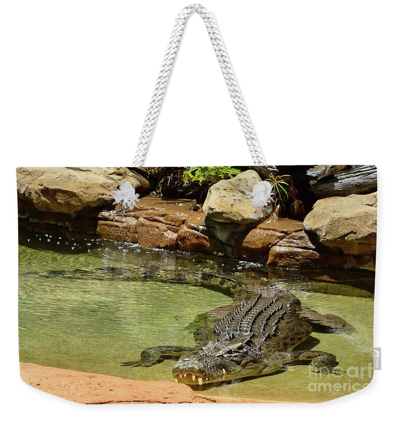 Saltwater Crocodile Weekender Tote Bag featuring the photograph Saltwater Crocodile in Water by Kaye Menner by Kaye Menner