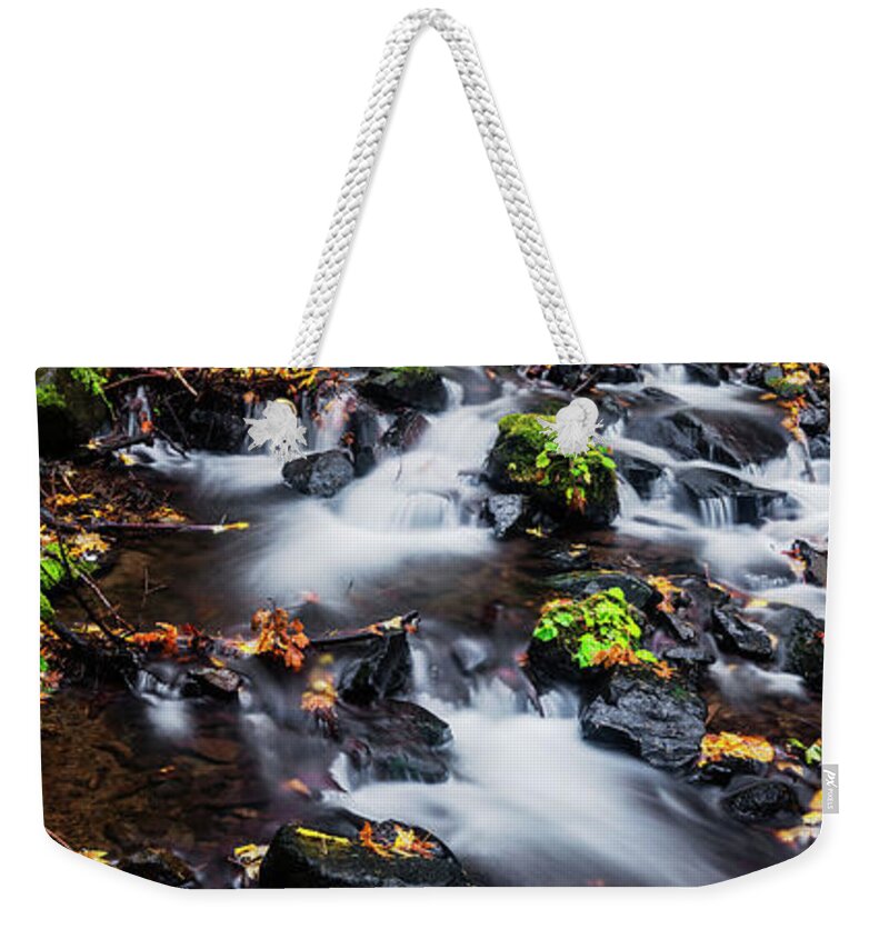 Salvation Creek Weekender Tote Bag featuring the photograph Salvation Creek in Columbia River Gorge by Vishwanath Bhat