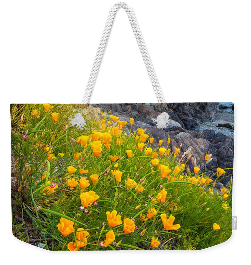 America Weekender Tote Bag featuring the photograph San Juan Poppies by Inge Johnsson