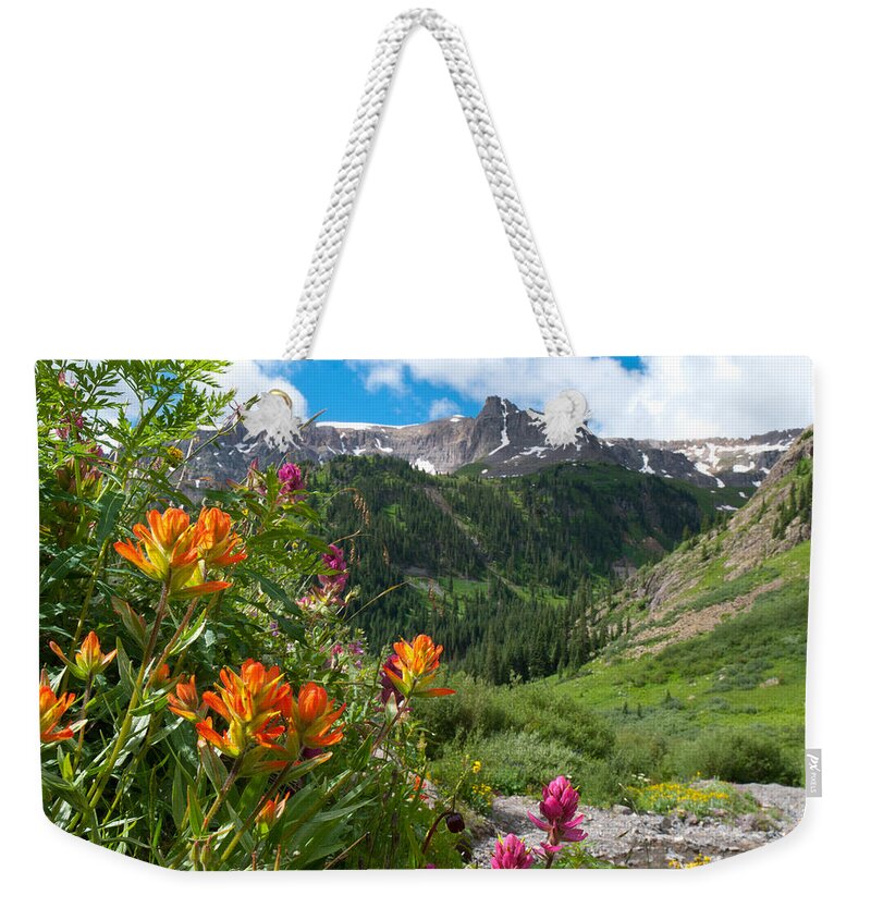 San Juans Weekender Tote Bag featuring the photograph San Juans Indian Paintbrush Landscape by Cascade Colors