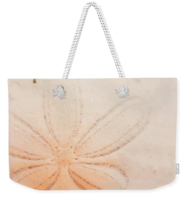 Seashell Weekender Tote Bag featuring the photograph Sand Dollar by Ana V Ramirez