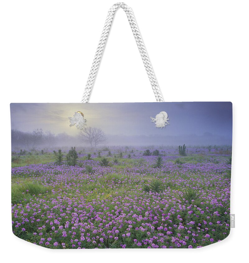 00170957 Weekender Tote Bag featuring the photograph Sand Verbena Flower Field At Sunrise by Tim Fitzharris