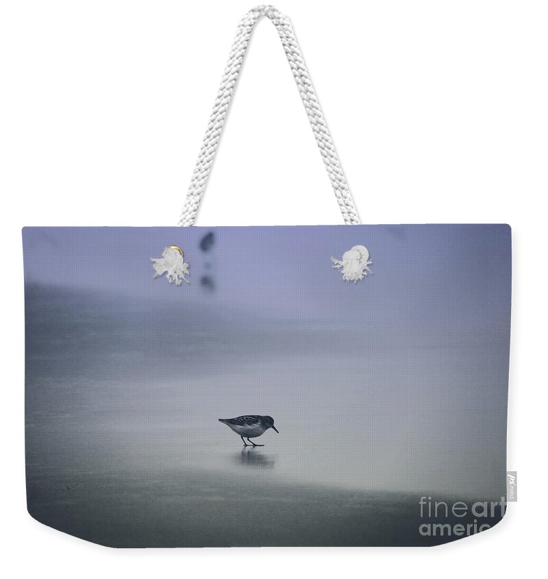 Bird Weekender Tote Bag featuring the photograph Sanderling by Sheila Ping