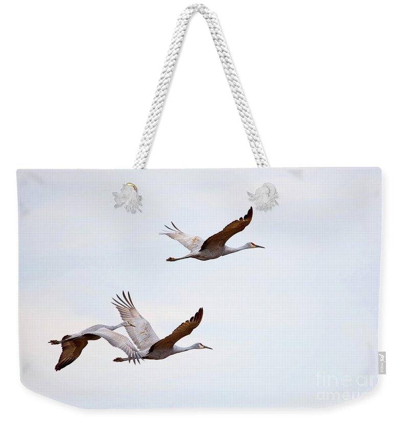 Crane Weekender Tote Bag featuring the photograph Sandhill Cranes Flying by Paul Mashburn