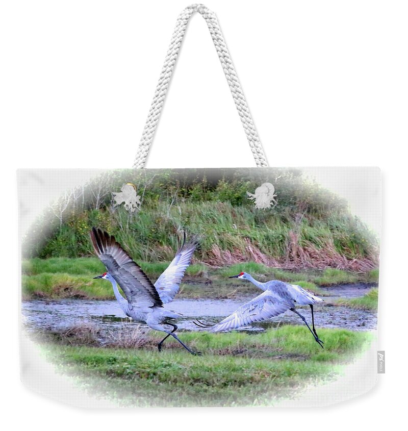 Sandhill Cranes Weekender Tote Bag featuring the photograph Sandhills - Poetry in Motion by Carol Groenen
