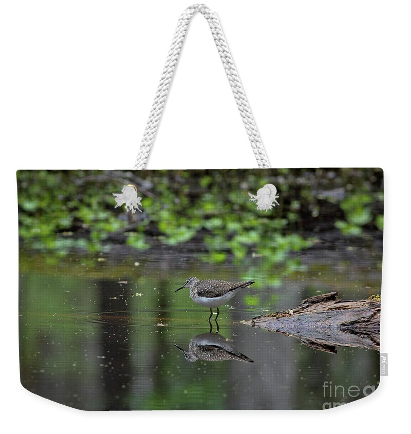 Sandpiper Weekender Tote Bag featuring the photograph Sandpiper in the Smokies II by Douglas Stucky