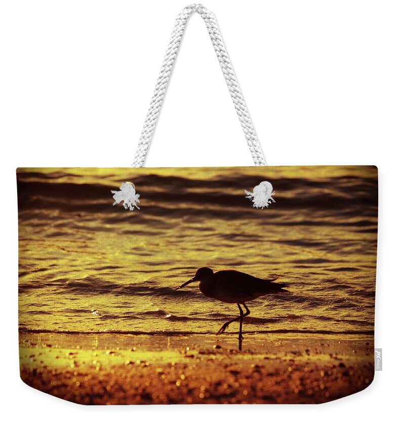 Bird Weekender Tote Bag featuring the photograph Sandpiper Shore by Stoney Lawrentz