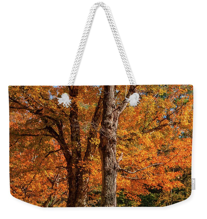 Sandwich Weekender Tote Bag featuring the photograph Sandwich Autumn by White Mountain Images