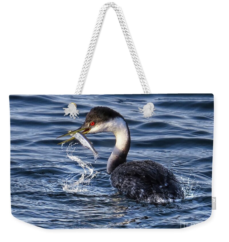 Clark's Grebe Weekender Tote Bag featuring the photograph Sashimi To Go by Jennie Breeze