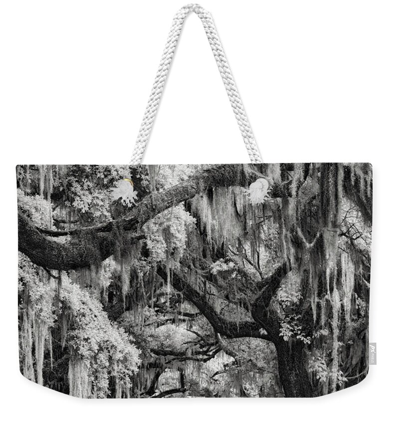 Artwork Weekender Tote Bag featuring the photograph Savannah's Forest by Jon Glaser