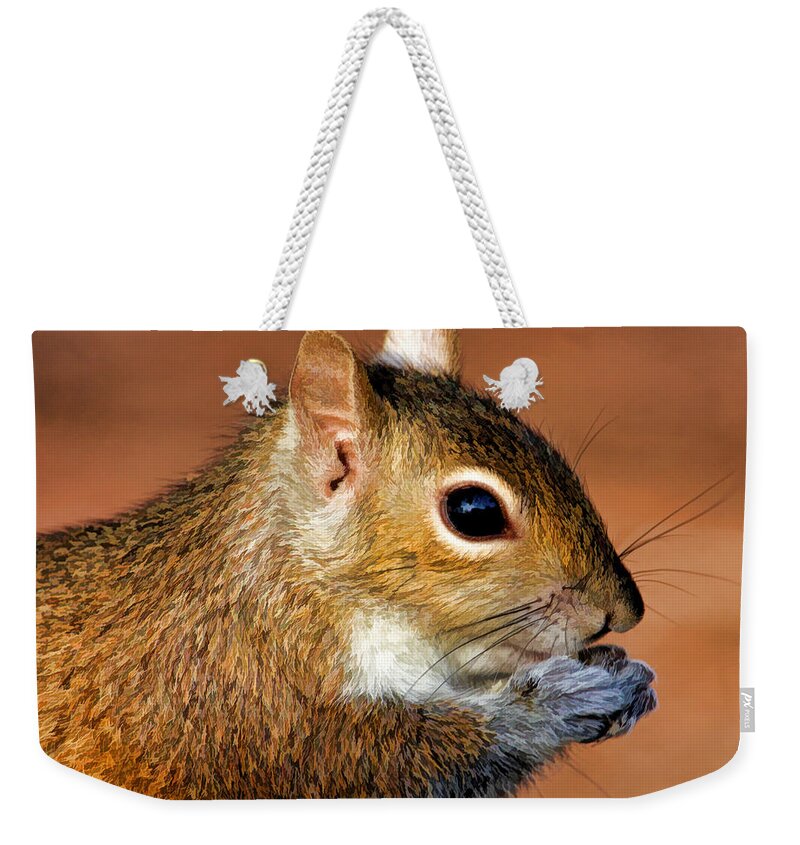 Eastern Grey Squirrel Weekender Tote Bag featuring the photograph Saying My Prayers by HH Photography of Florida