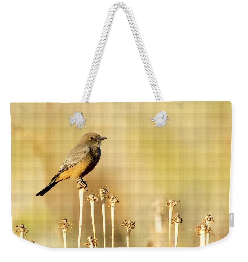 Say's Phoebes Weekender Tote Bag featuring the photograph Say's Phoebe by Judi Dressler
