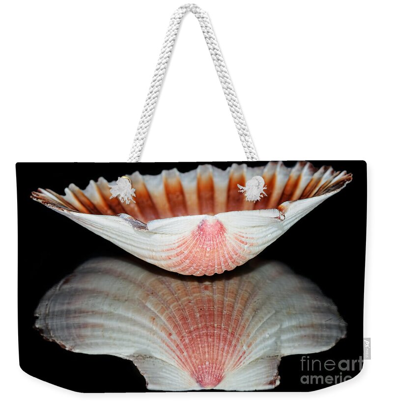 Photography Weekender Tote Bag featuring the photograph Scallop Shell Reflection by Kaye Menner by Kaye Menner