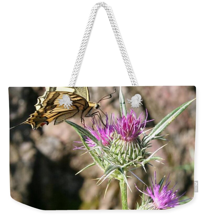 Butterfly Weekender Tote Bag featuring the photograph Scarce Swallowtail Butterfly and Thistle by Taiche Acrylic Art