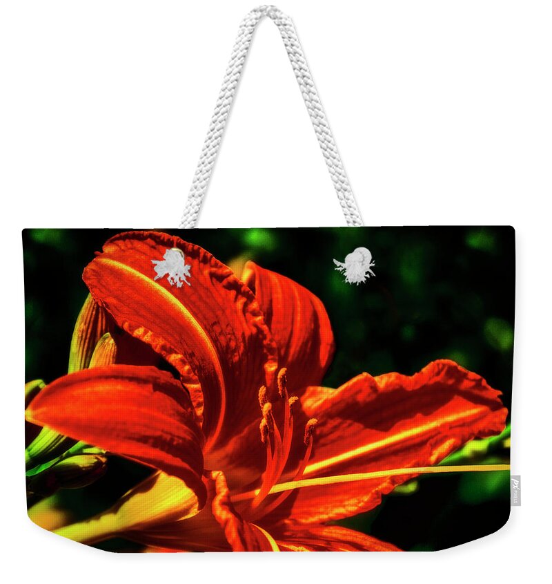 Flower Weekender Tote Bag featuring the photograph Scarlet Flower by Joseph Hollingsworth