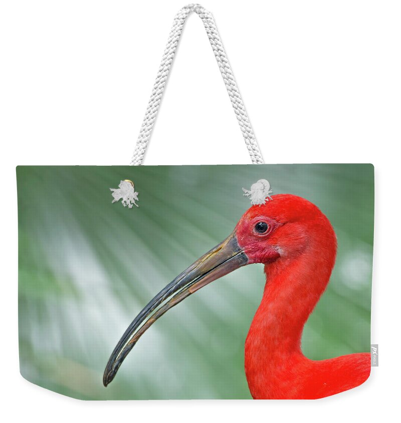 Scarlet Ibis Weekender Tote Bag featuring the photograph Scarlet Ibis by Jim Zablotny