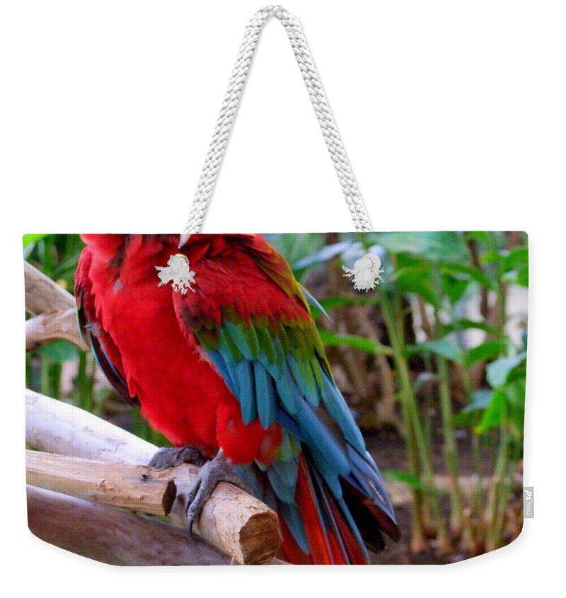 Mary Deal Weekender Tote Bag featuring the photograph Scarlet Macaw No 2 by Mary Deal