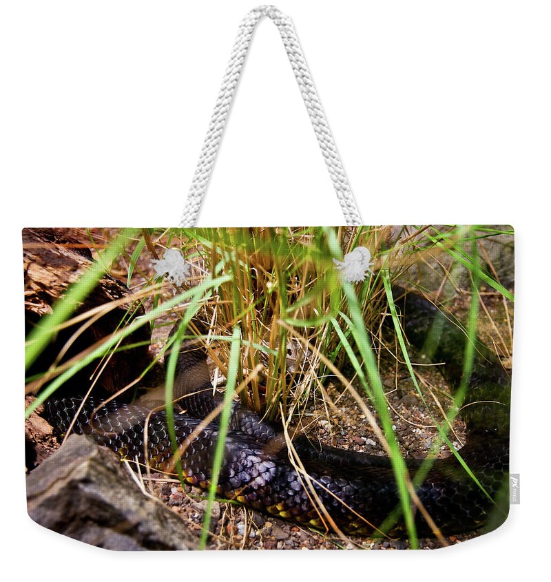 Snake Weekender Tote Bag featuring the photograph Scary Tiger Snake by Miroslava Jurcik