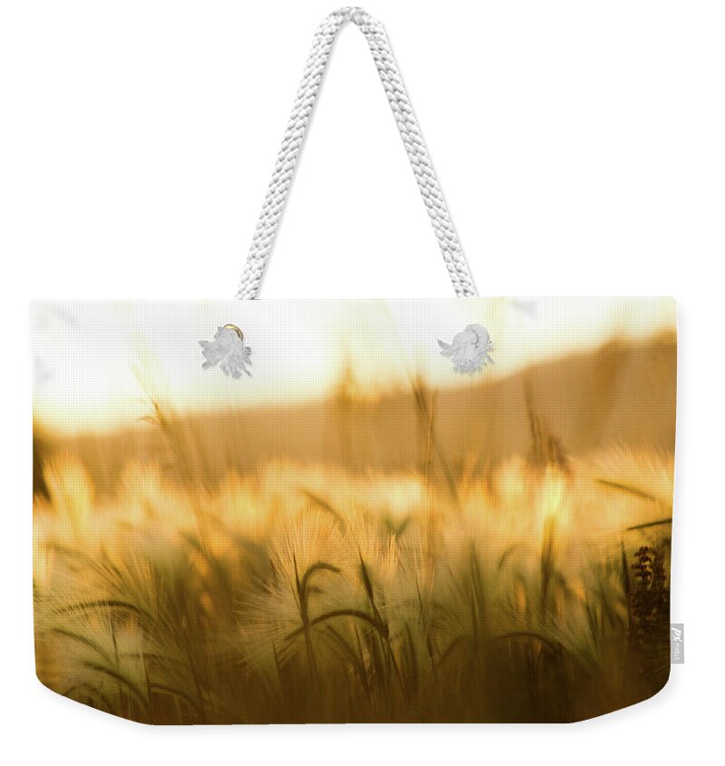 Scenic Weekender Tote Bag featuring the photograph Scenic 020 by Dawn Marshall