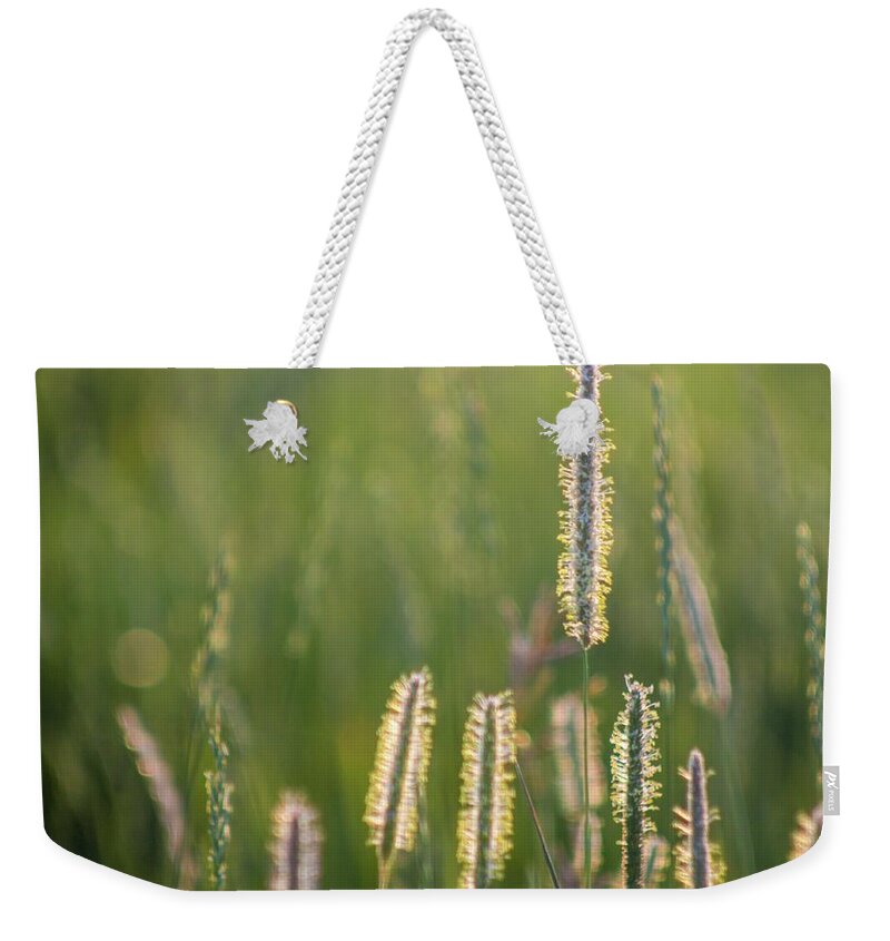 Scenic Weekender Tote Bag featuring the photograph Scenic 021 by Dawn Marshall